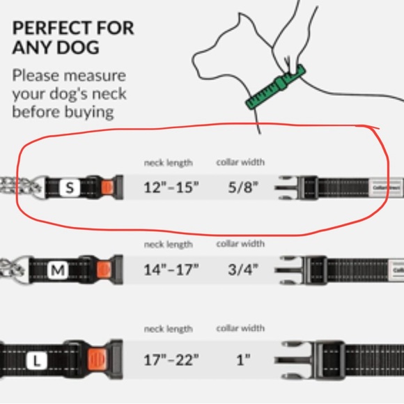 CollarDirect Martingale Dog Collar Stainless Steel Chain & Quick Release Buckle - Picture 4 of 11